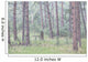 Trees in the fog along a highway in the black hills of south dakota Wall Mural