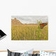Monarch butterfly on a blade of grass at dawn Wall Mural