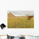 Monarch butterfly on a blade of grass at dawn Wall Mural