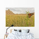 Monarch butterfly on a blade of grass at dawn Wall Mural