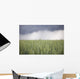 Wheat field and oncoming thunderstorm Wall Mural