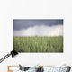 Wheat field and oncoming thunderstorm Wall Mural