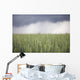Wheat field and oncoming thunderstorm Wall Mural