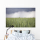 Wheat field and oncoming thunderstorm Wall Mural