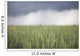 Wheat field and oncoming thunderstorm Wall Mural