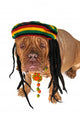 Rasta Doggy Wall Decal