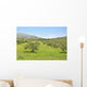 Olive trees Wall Mural