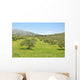Olive trees Wall Mural