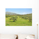 Olive trees Wall Mural