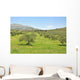 Olive trees Wall Mural