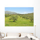 Olive trees Wall Mural