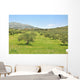 Olive trees Wall Mural