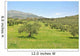 Olive trees Wall Mural