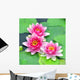 Pink water lilies Wall Mural