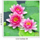 Pink water lilies Wall Mural