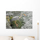 Grey Heron 2 Wall Mural