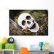Decorative skull at halloween;Millet alberta canada Wall Mural