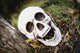 Decorative skull at halloween;Millet alberta canada Wall Mural