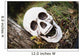 Decorative skull at halloween;Millet alberta canada Wall Mural