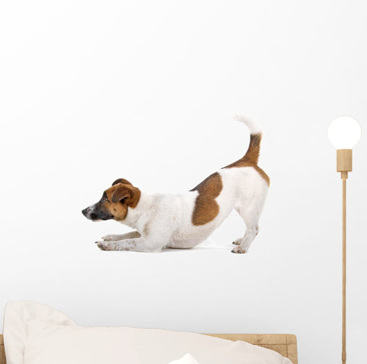 Side Jack Russel Terrier Wall Decal