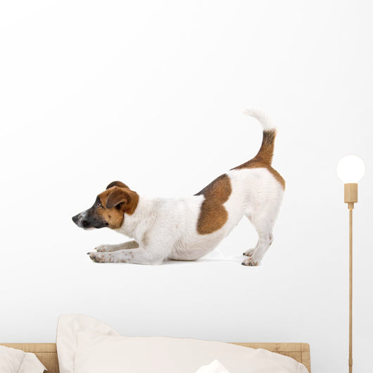 Side Jack Russel Terrier Wall Decal