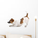 Side Jack Russel Terrier Wall Decal