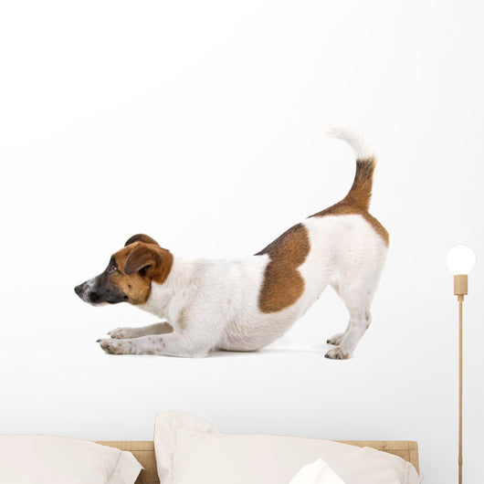 Side Jack Russel Terrier Wall Decal