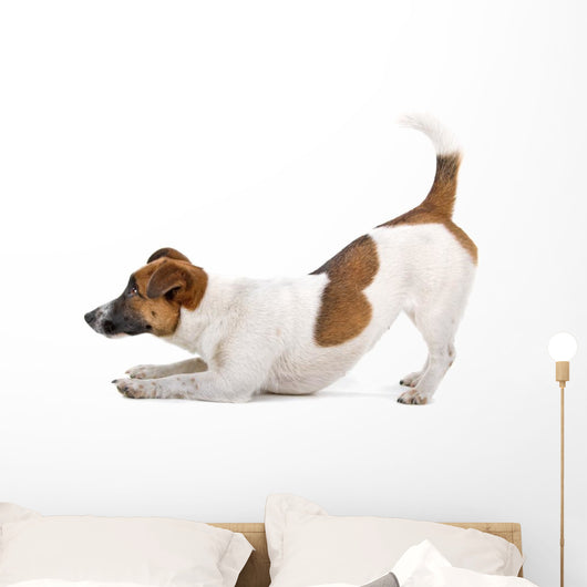 Side Jack Russel Terrier Wall Decal