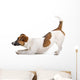 Side Jack Russel Terrier Wall Decal