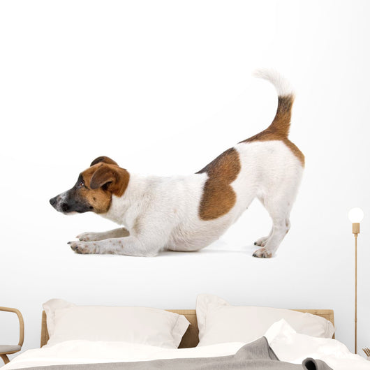 Side Jack Russel Terrier Wall Decal
