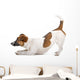 Side Jack Russel Terrier Wall Decal