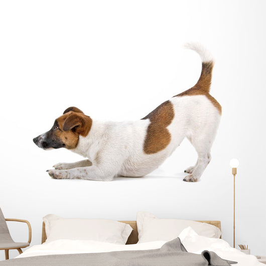 Side Jack Russel Terrier Wall Decal