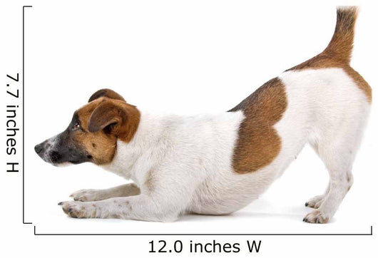 Side Jack Russel Terrier Wall Decal