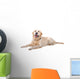 Resting Golden Retriever Dog Wall Decal