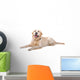 Resting Golden Retriever Dog Wall Decal