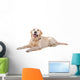 Resting Golden Retriever Dog Wall Decal