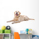 Resting Golden Retriever Dog Wall Decal