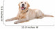 Resting Golden Retriever Dog Wall Decal