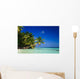Tropical Paradise at Maldives Wall Mural