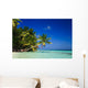 Tropical Paradise at Maldives Wall Mural