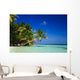 Tropical Paradise at Maldives Wall Mural