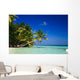 Tropical Paradise at Maldives Wall Mural