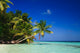 Tropical Paradise at Maldives Wall Mural