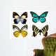 Some Various Butterflies White Wall Decal Design 2