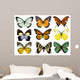 Some Various Butterflies White Wall Decal Design 1