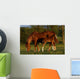 Mare and Foal Wall Mural