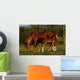 Mare and Foal Wall Mural