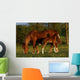 Mare and Foal Wall Mural