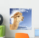 Crying alpaca in front of blue sky Wall Mural