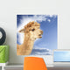 Crying alpaca in front of blue sky Wall Mural